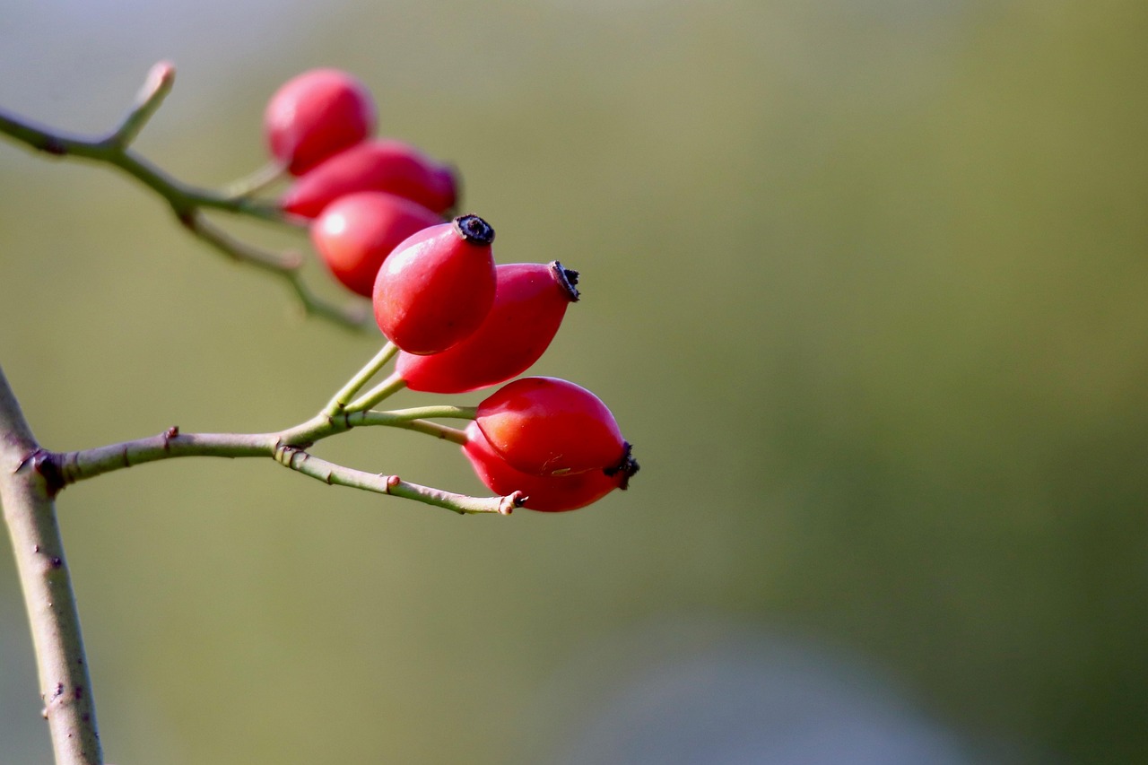 Winter itching isn’t always dry skin. It could be eczema - ThePrint